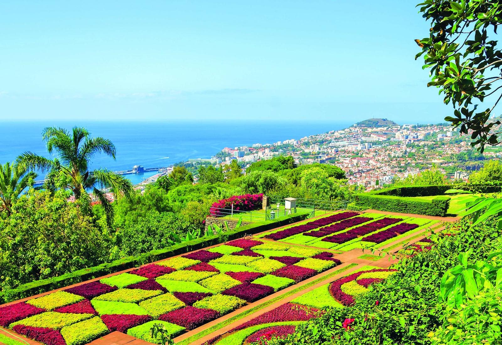 Blick auf farbenfrohen Garten mit Meerkulisse in Funchal, Madeira. Perfektes Urlaubsziel!