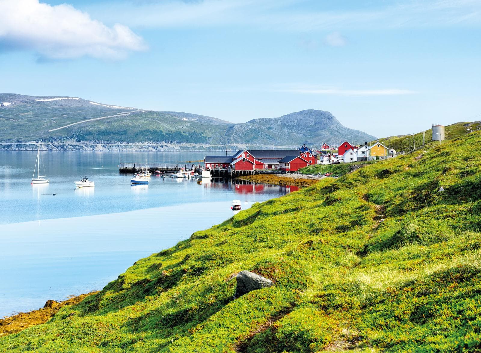 Bunte Häuser am Fjord in Norwegen, umgeben von grünen Hügeln und ruhigem Wasser.
